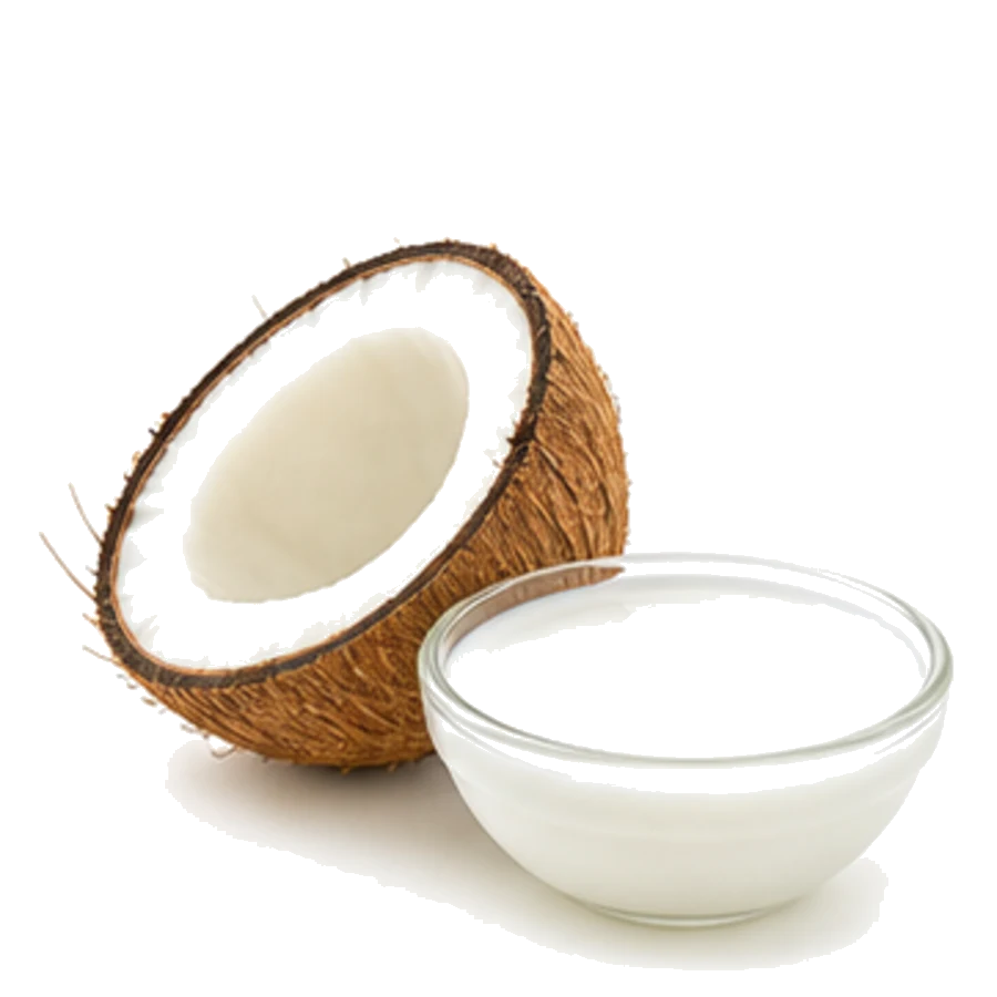 Organic coconut milk ingredient