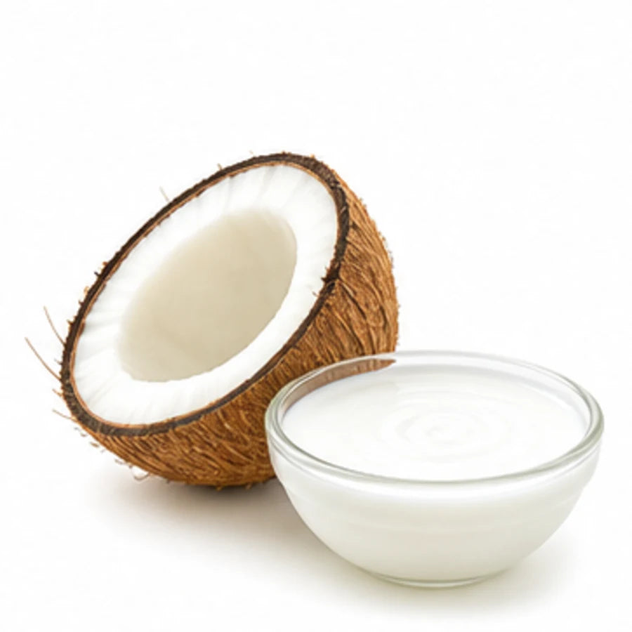 Coconut milk ingredient